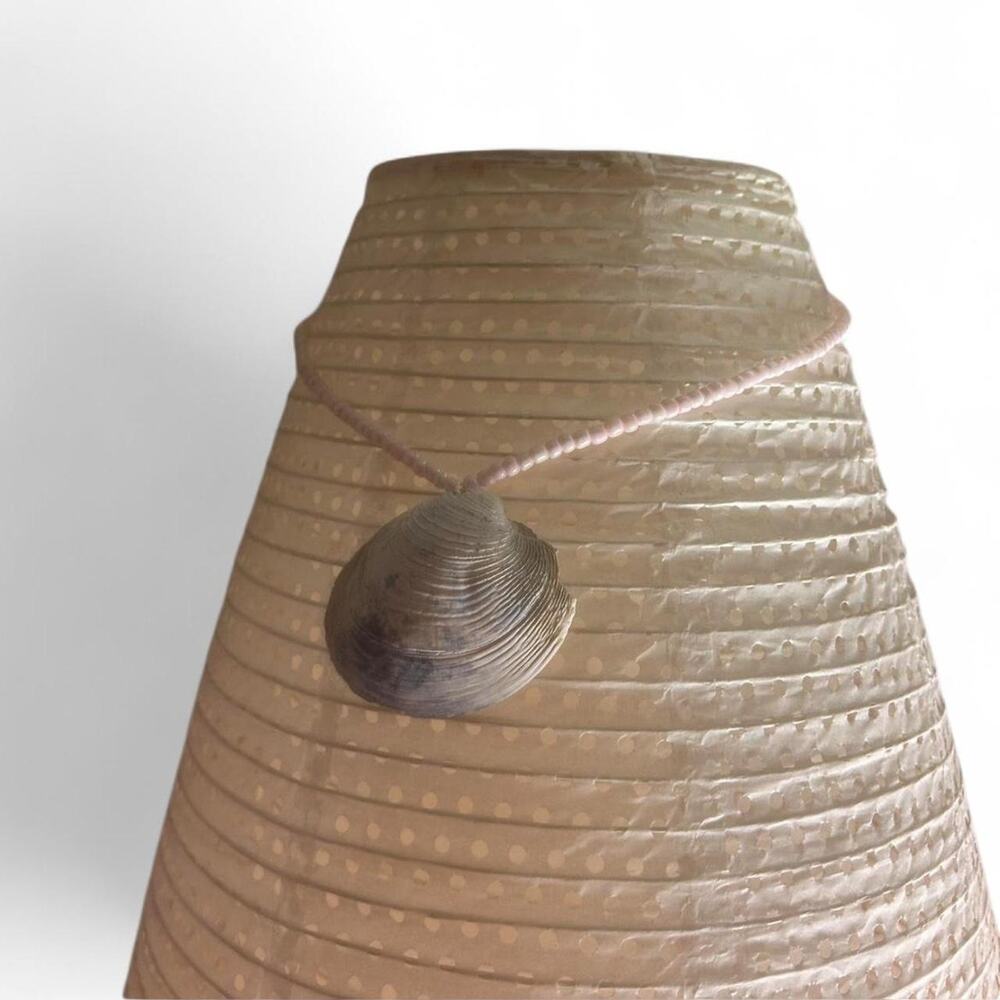 East coast shell hand crafted